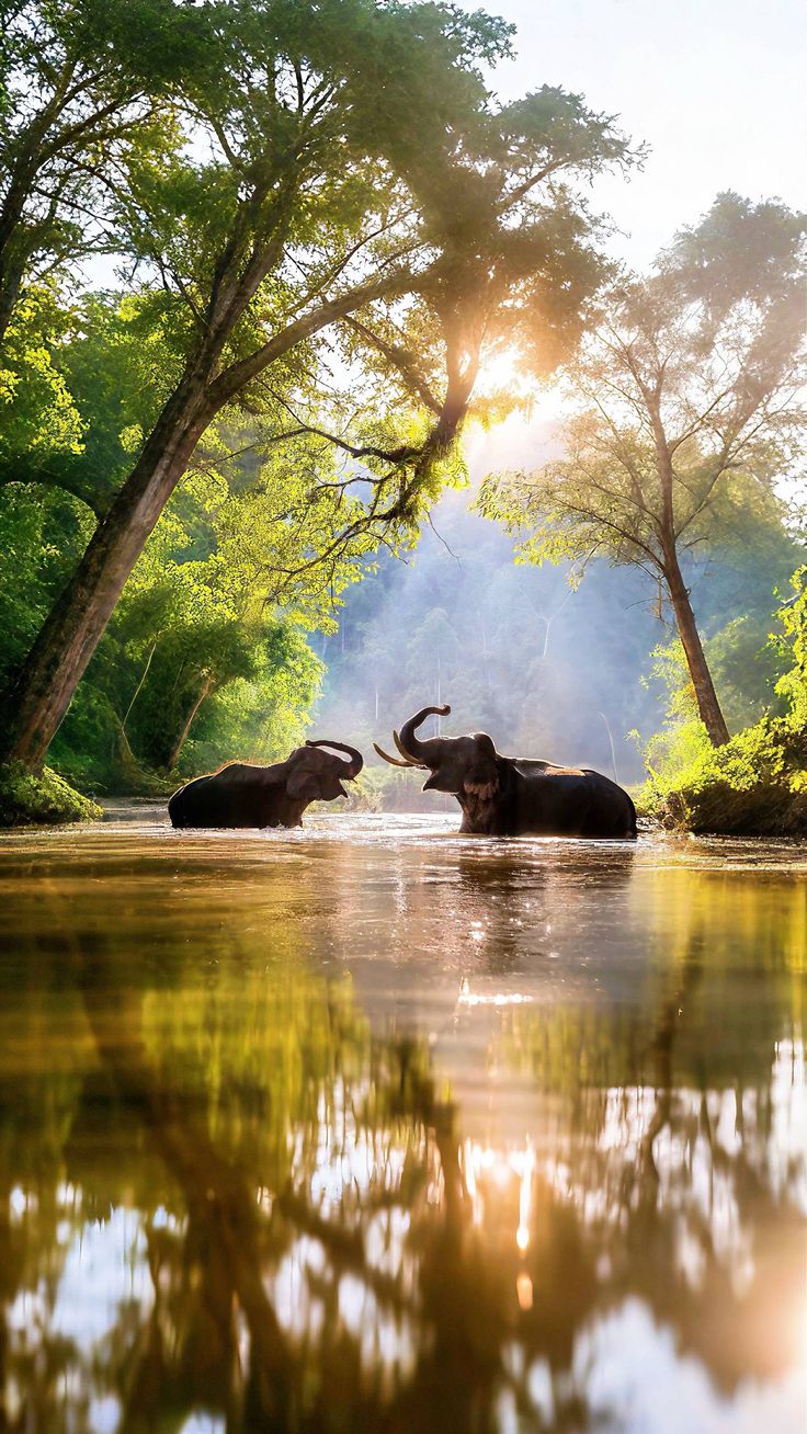 Top Things to Do in Nairobi, Kenya