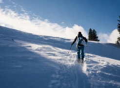 Ski touring image 2