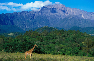 Arusha National Park Tanzania: 5 Powerful Reasons to Visit